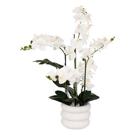 Orchidée artificielle avec pot blanc 80 cm