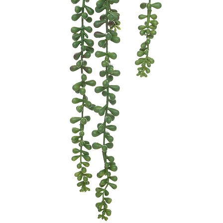 0a09a7c4-9630-433a-be01-45ffdfd8820b