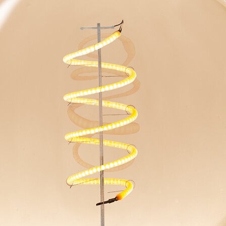 Ampoule LED globe ambrée à filament éclairage décoratif E27 Ampoule LED globe ambrée à filament éclairage décoratif E27