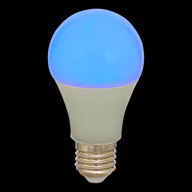 Ampoule LED rechargeable E27 A60 11 cm avec télécommande
