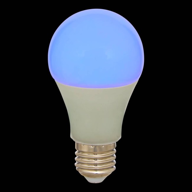 Ampoule LED rechargeable E27 A60 11 cm avec télécommande