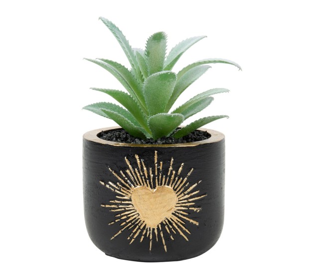 fausse plante cactus pot bois noir dore deco interieur sans entretien
