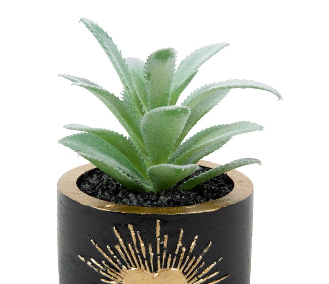 fausse plante cactus pot bois noir dore deco interieur sans entretien