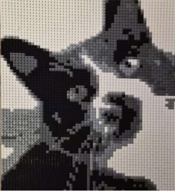 Screenshot_20260510_153029_Gallery
