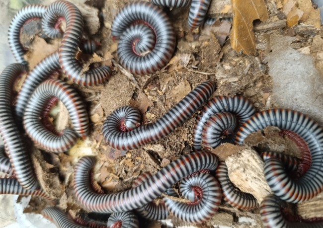 Screenshot_2025-12-19-21-33-19-394_com.miui.gallery-edit