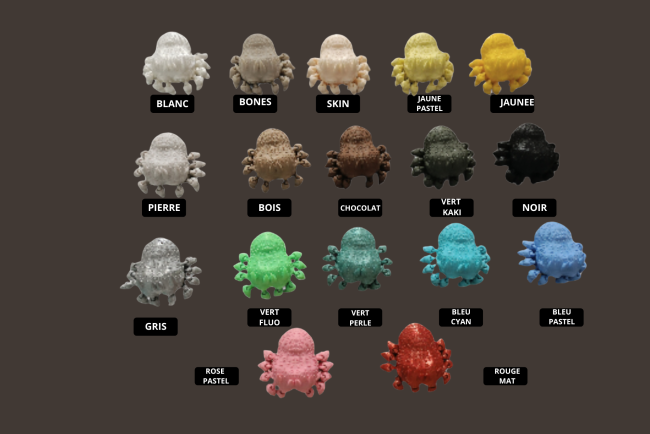 tailles terrariums (9)