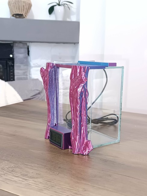 Terrarbre Iris en verre pour Phidippus à partir du stade L5