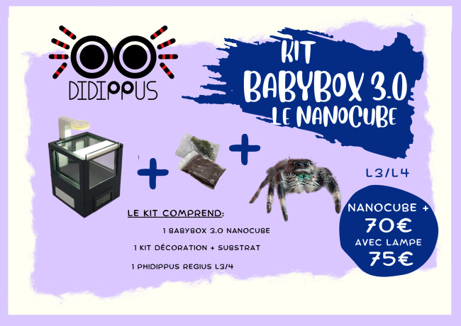 Fiches stand (29.7 x 21 cm) (27)