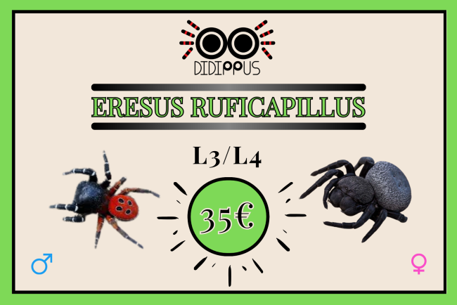 3_20260228_091432_0000