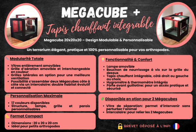 Capture d'écran 2026-04-16 191133