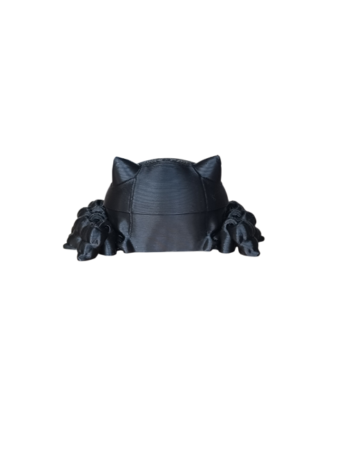 didicat-figurine-araignee-chat-3d.jpg