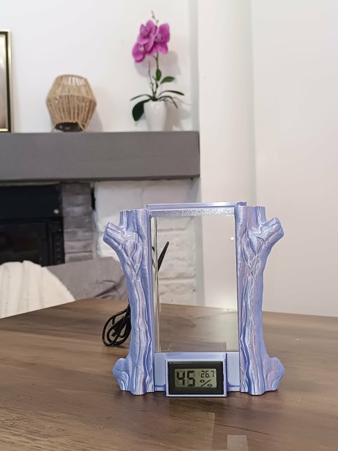 Terrarbre Lavande en verre pour Phidippus à partir du stade L5