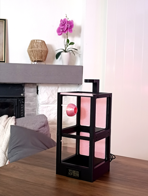Nexa Plus noir et rose avec lampe Terrarium évolutif Nexa Plus personnalisé noir et rose