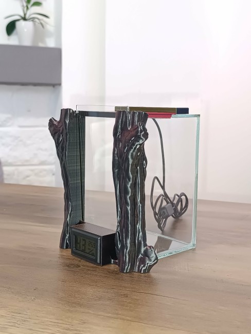 terrarbre-amétrine-terrarium-phidippus.jpg