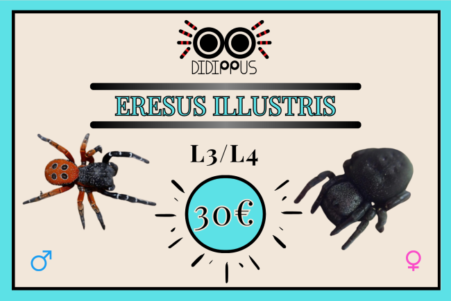 6_20260228_091432_0002