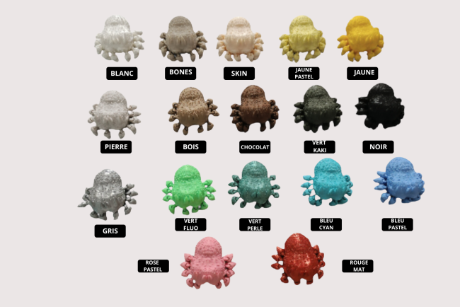 tailles terrariums (8)