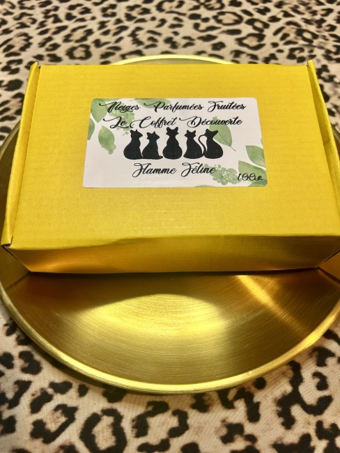 Coffret Poudre d'aspirateur