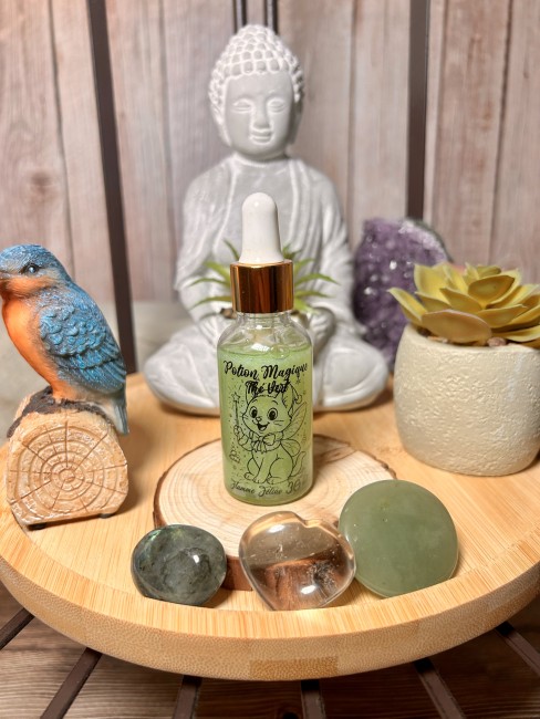 Découvrez les potions magiques , des fondants liquides artisanaux pour parfumer rapidement et puissamment votre maison! Potion magique le fondant liquide ultrapuissant de Flamme Féline