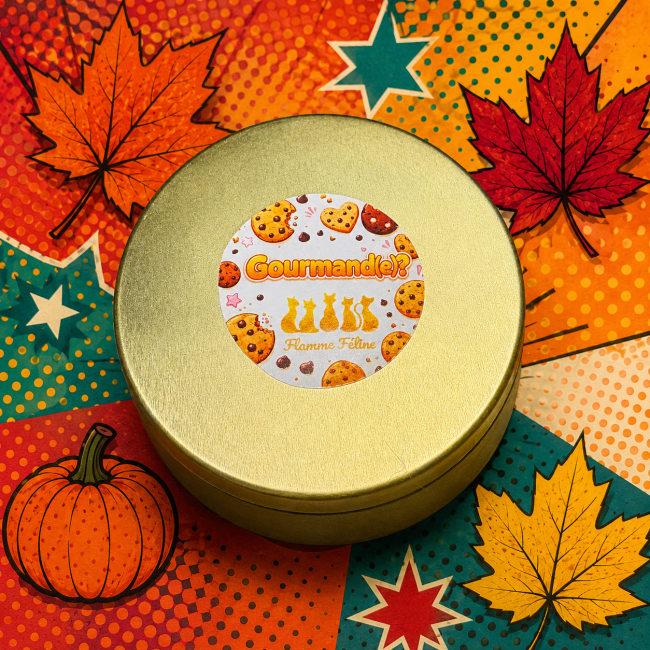 Bougie parfumée cookie au chocolat 180g flamme féline