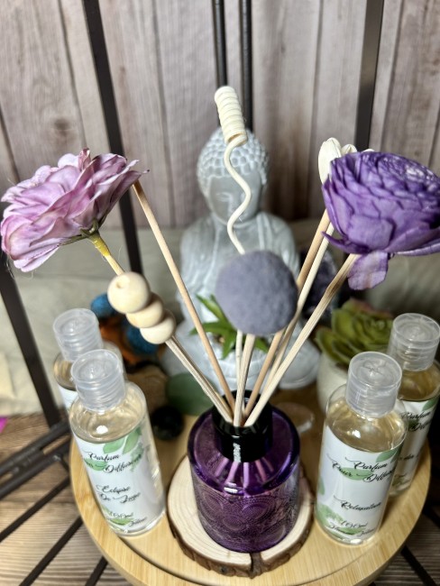 Coffret  Reed Diffuseur ! Parfum d'ambiance à tiges ! Parfum artisanal!