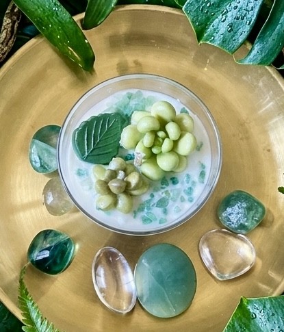 bougie citronnelle succulente - la résistance face aux moustiques