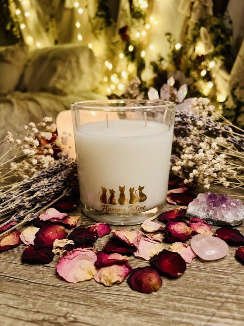 Bougie cire végétale Recyclez vos contenants Remplissage avec ou sans parfum! | 🐈‍⬛Flamme Féline🐈‍⬛