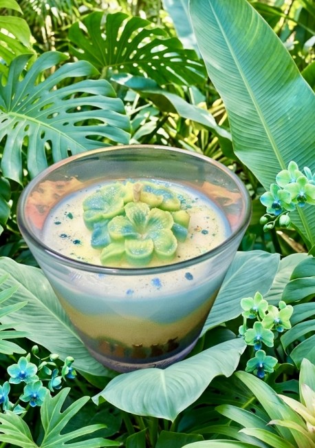 bougie artisanale tropicale au monoï flamme féline bougie artisanale Monoï aloha dégradé de couleur décor tropical