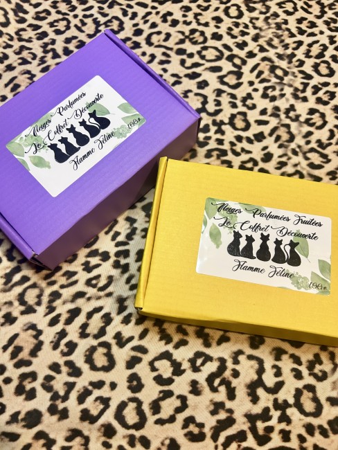 Coffret Poudre d'aspirateur