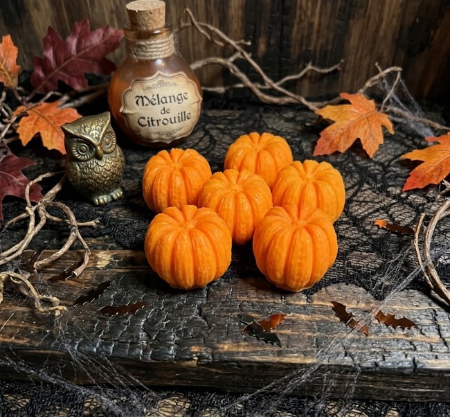 Coffret de fondants parfumés forme citrouille thème halloween cire de soja cire d olive parfum de grasse Coffret de fondants parfumés forme citrouille thème halloween cire de soja cire d olive parfum de grasse