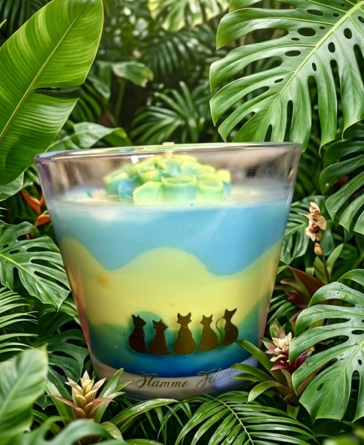 bougie artisanale tropicale au monoï flamme féline bougie artisanale Monoï aloha dégradé de couleur décor tropical