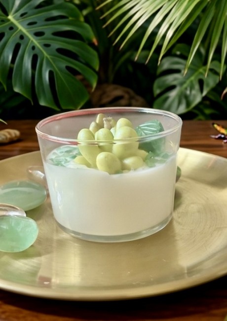 bougie citronnelle succulente - la résistance face aux moustiques