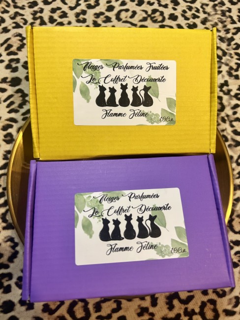 Coffret Poudre d'aspirateur