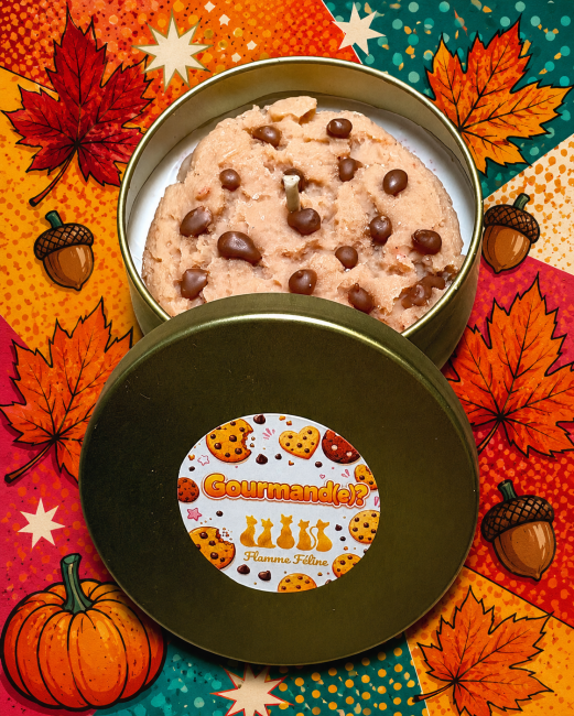 Bougie parfumée cookie au chocolat 180g flamme féline