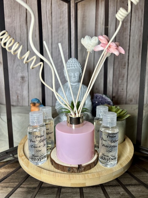 Coffret  Reed Diffuseur ! Parfum d'ambiance à tiges ! Parfum artisanal!