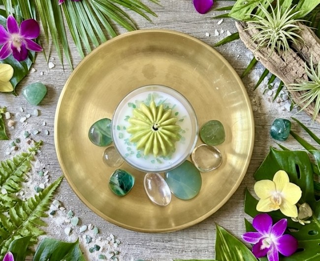 Bougie Citronnelle Cactus - l'arme anti-moustique