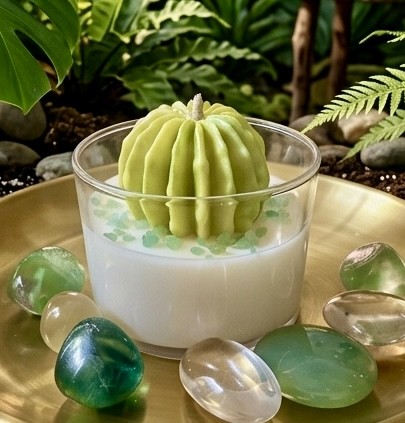 Bougie Citronnelle Cactus - l'arme anti-moustique