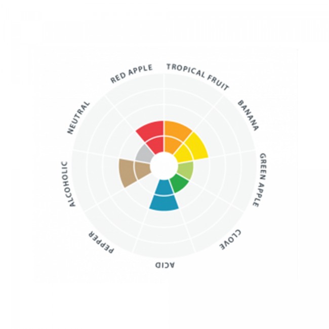 lallemand-lalbrew-premium-levure-de-biere-seche-wit-11-g (1)