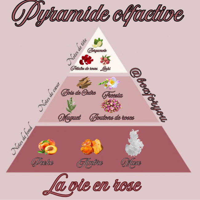 B_20260210_130901_0000