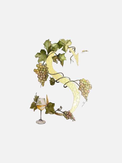Initiale peinte à la main d'une feuille d'or véritable entourée d'un décor à l'aquarelle de raisin et feuilles de vigne