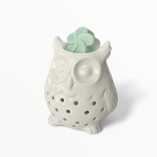 bruleur-ceramique-blanc-hibou-avec-fondant.jpg