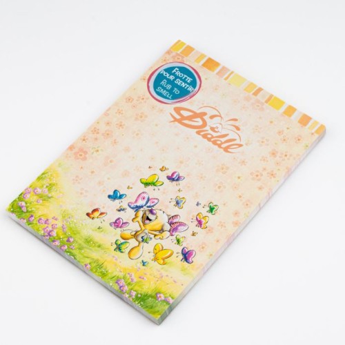 bloc note diddl parachute 2026 petit a6
