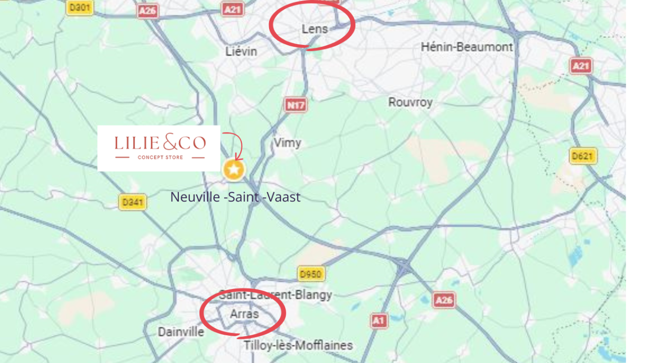 concept store - lilie and co - neuville-saint-vaast - arras - lens