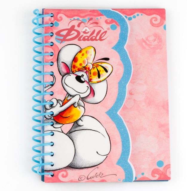 carnet a6 forme diddlina