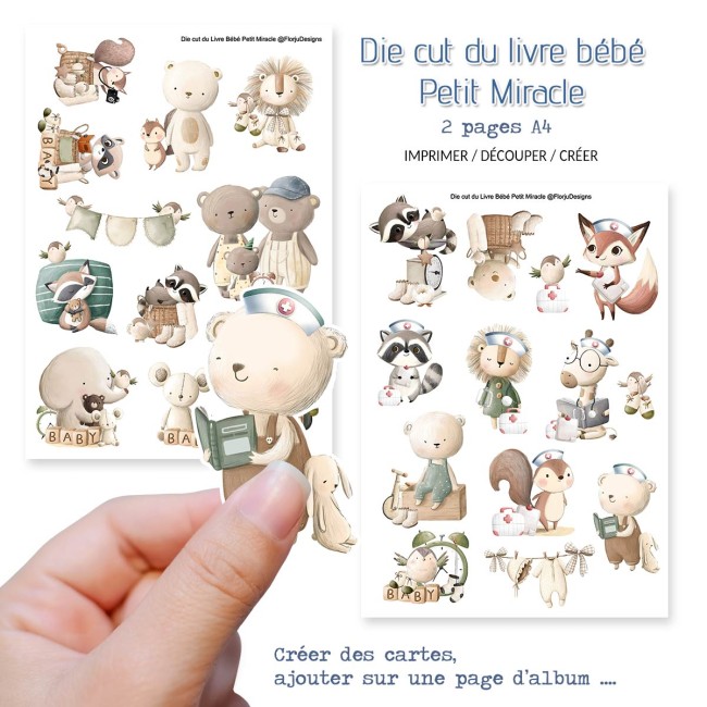 Diecut_LivreBB_petitMiracle_florju_PV