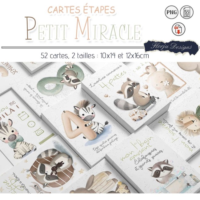 carteEtape_PetitMiracle_florju_PV