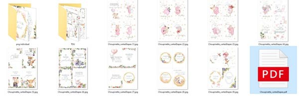 cartes-etapes-bebe-fille-pdf