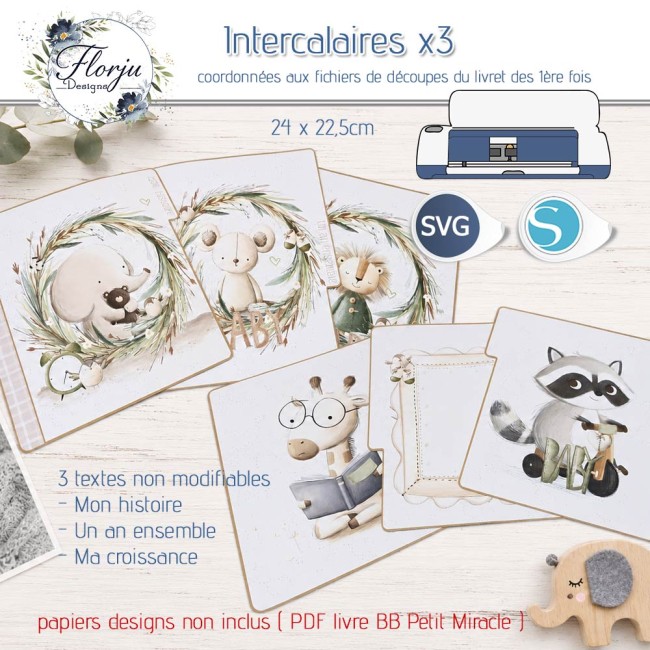 IntercalairesX3_florju_PV
