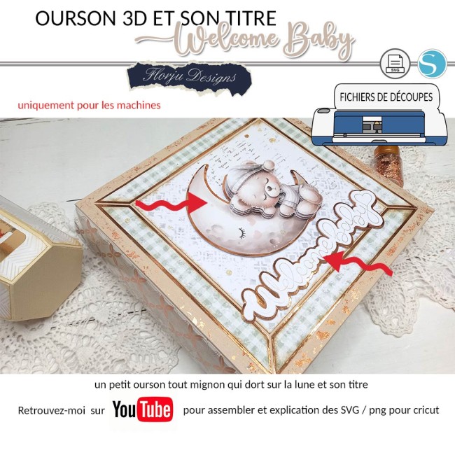 Ourson3D_florju_apercu