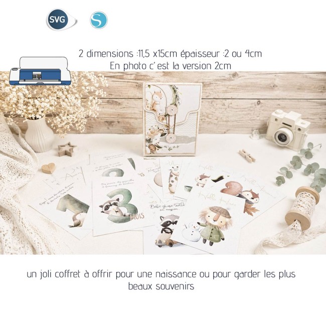 Boite_carteEtape_florju_PV3