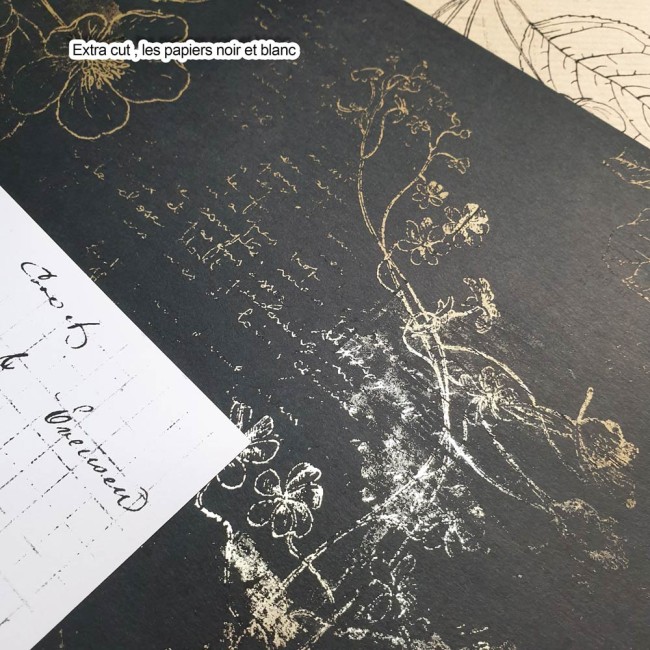 extraCut_DestinationVacances_florju_PV3